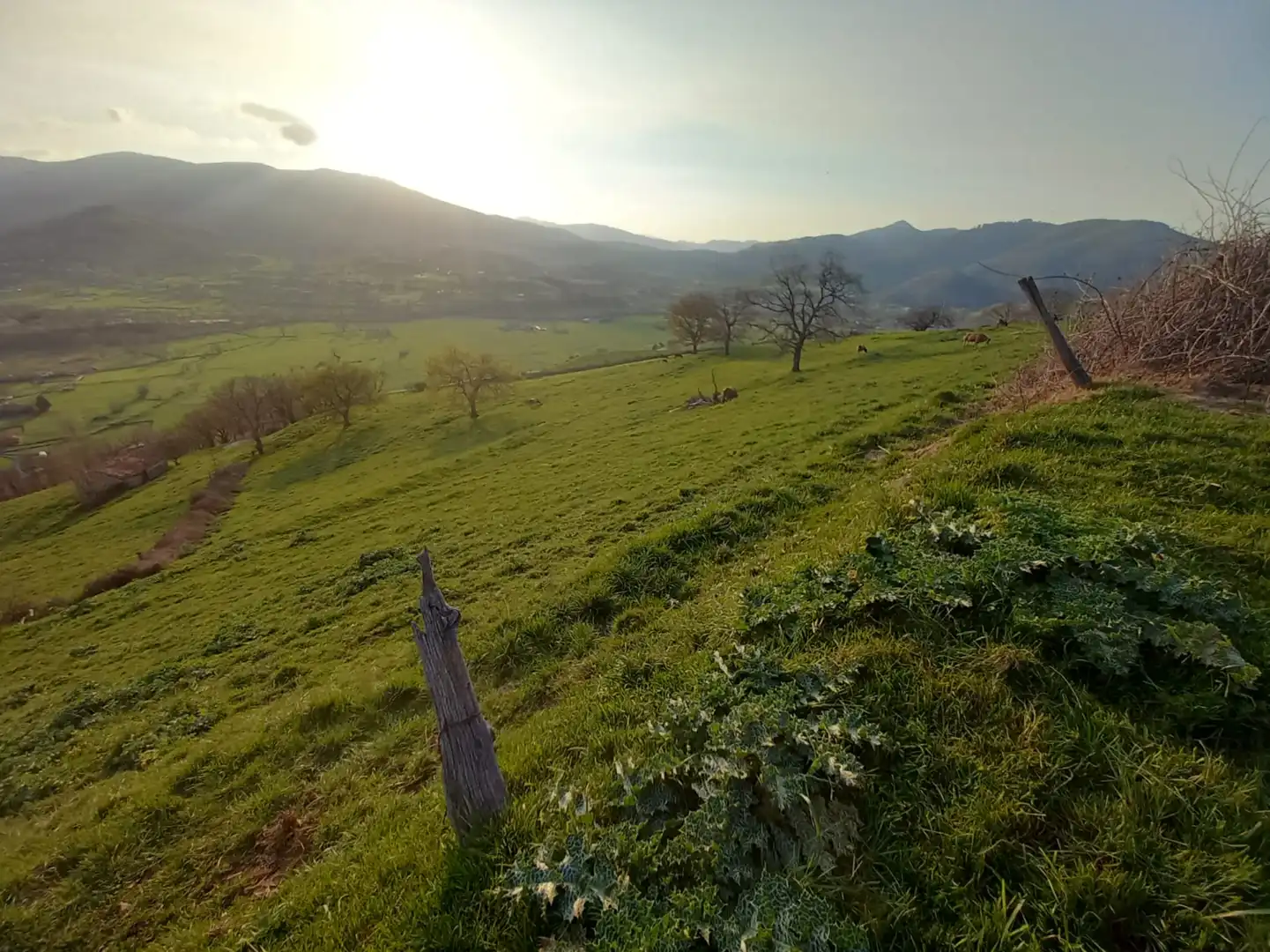 Land for sale in Villacarriedo