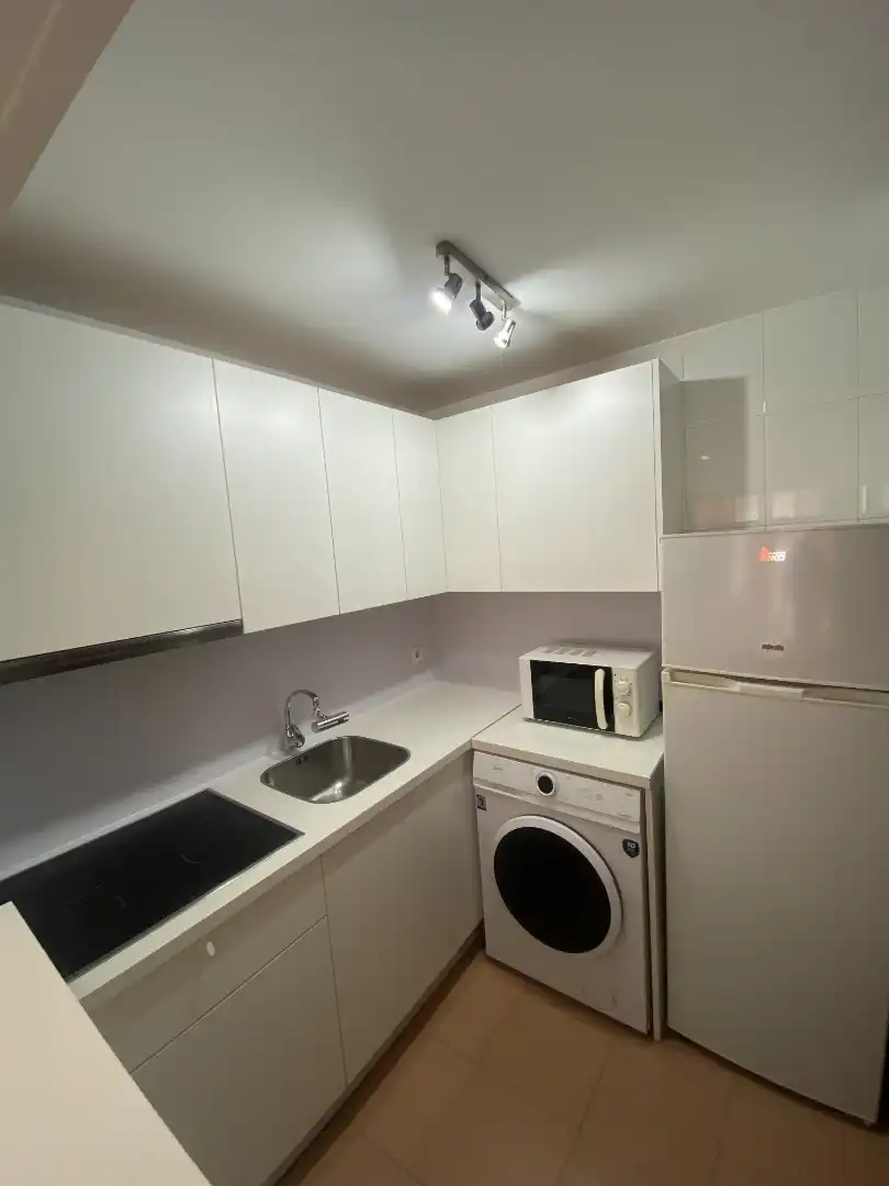 Kitchen of Apartments for rent in Málaga  with Air Conditioner, Terrace and Furnished