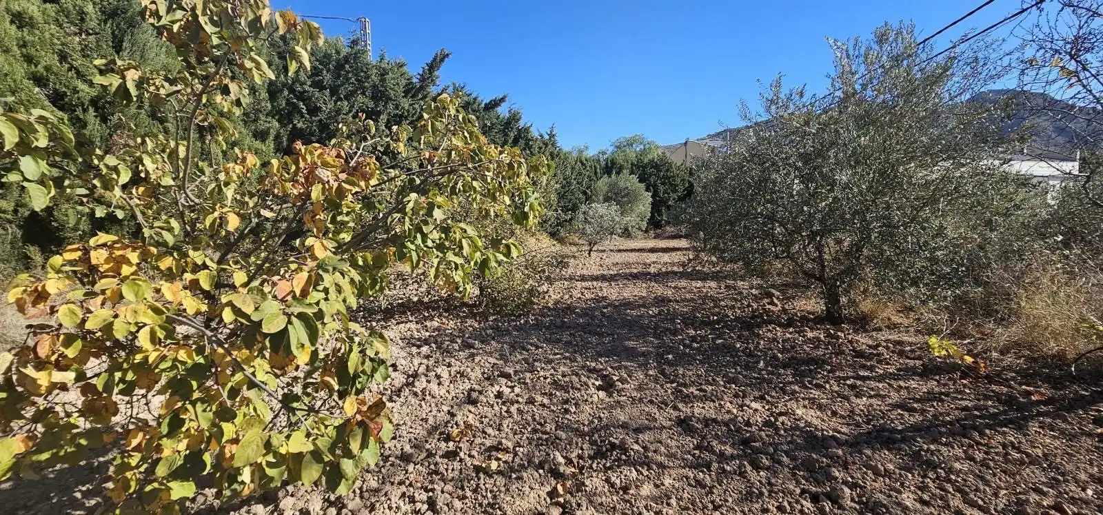 Casa o chalet en venta en Algueña con Aire acondicionado, Calefacción y Jardín privado