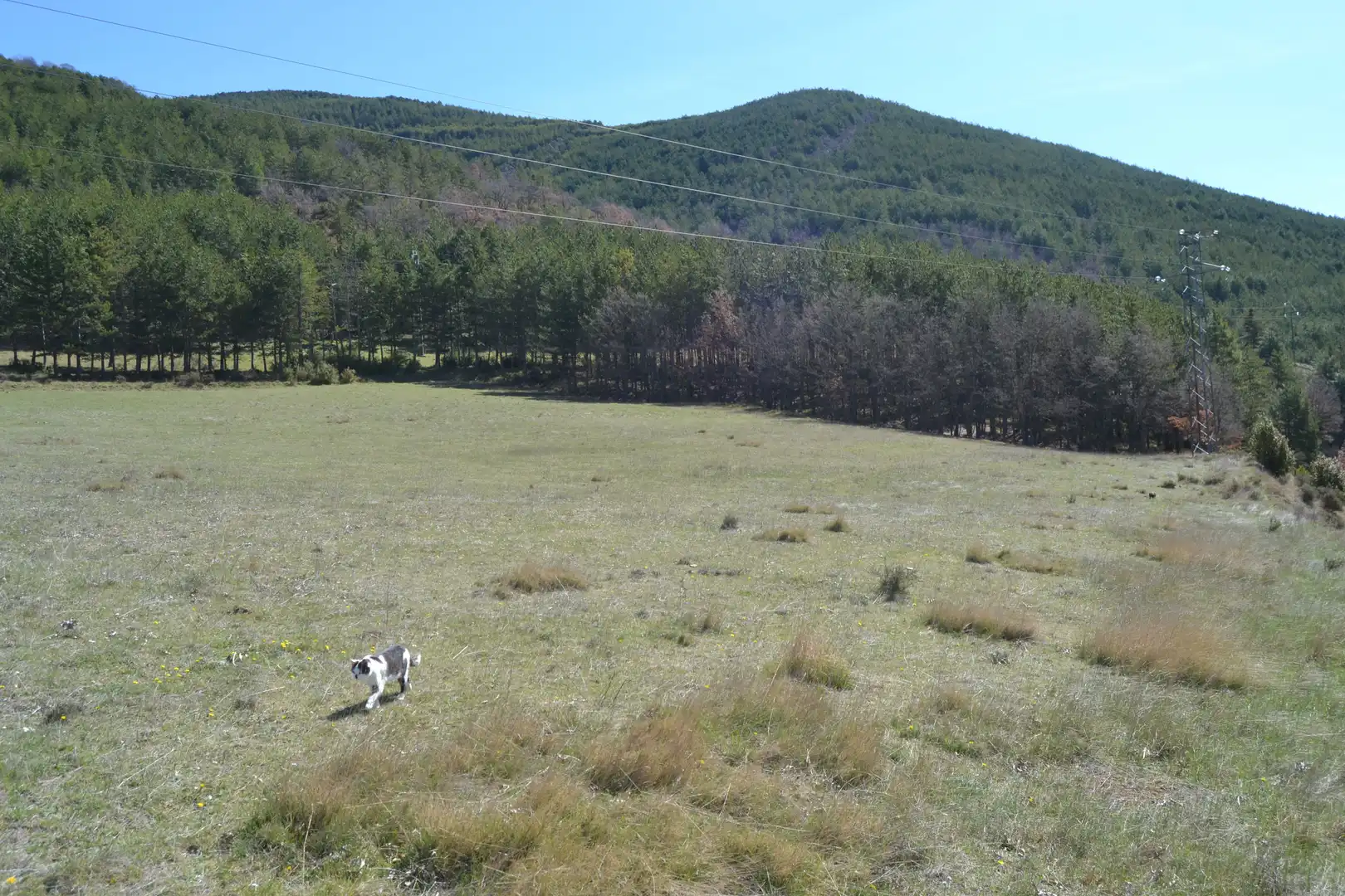 Terreni e lotti in vendita a Poblaciones norte, imagen 14