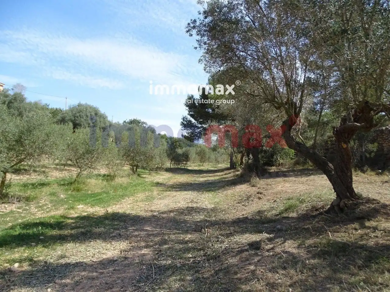 Terrenos y solares en venta en 63, imagen 8