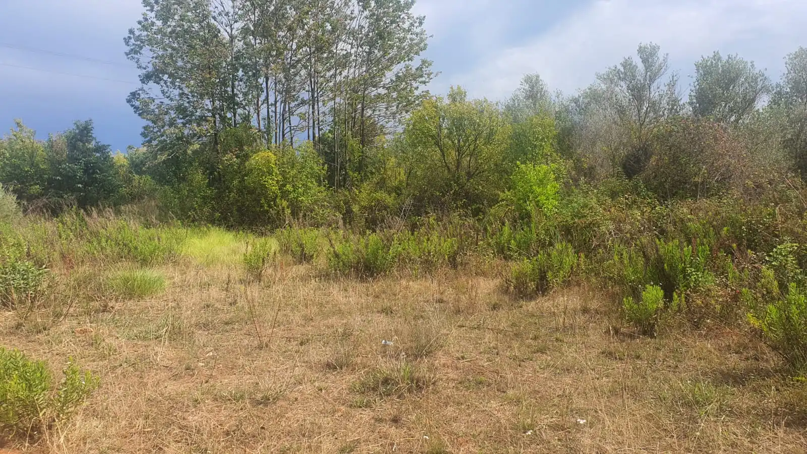 Terreno residencial en venta en Centro, imagen 5