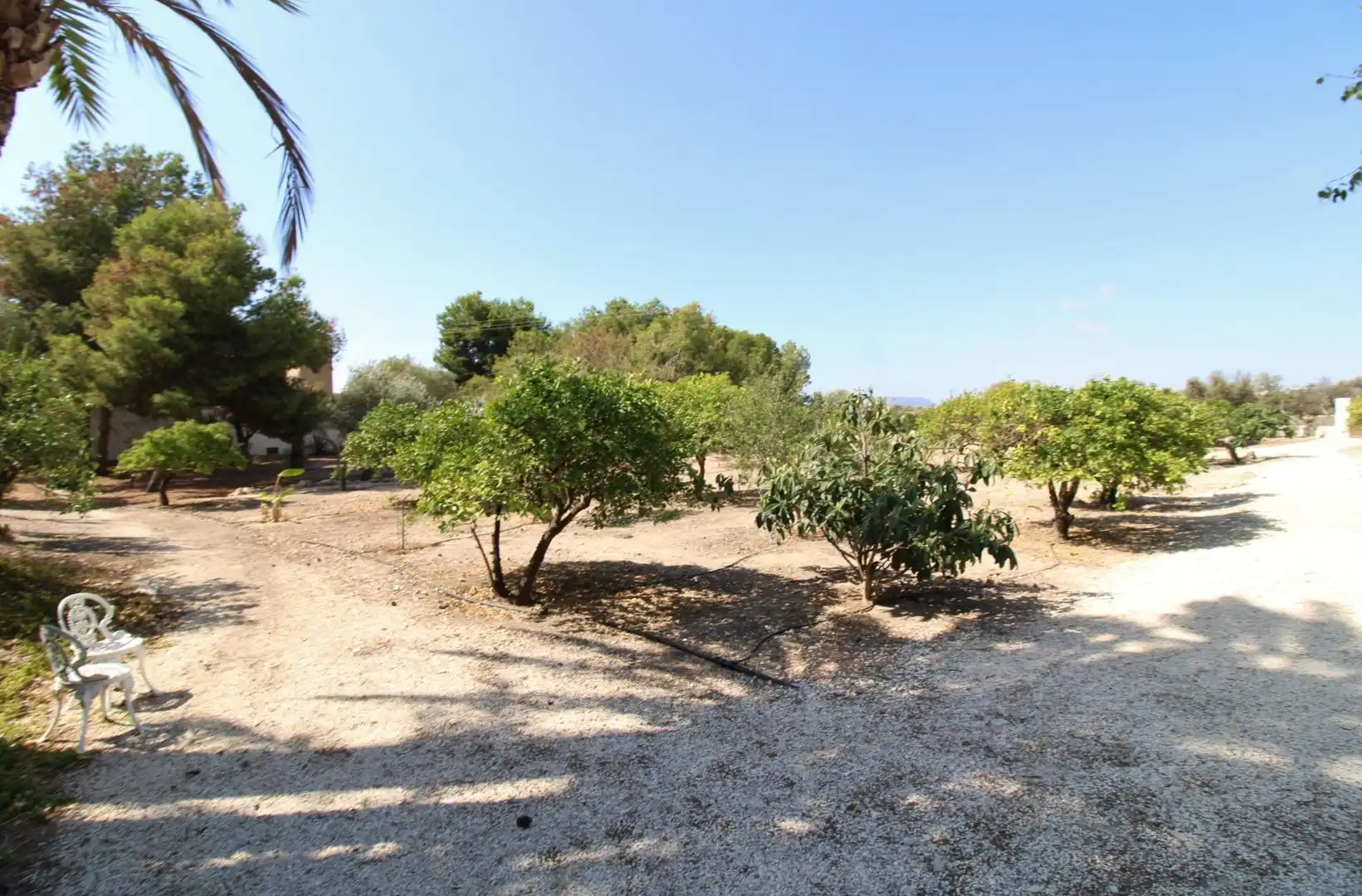 Houses for rent in Sant Joan d'Alacant  with Private garden, Terrace and Swimming Pool