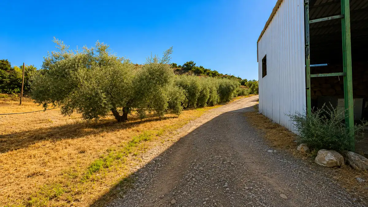 Vista exterior de Finca rústica en venta en Málaga con Aire acondicionado y Calefacción