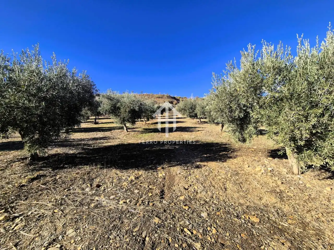 Lands and plots for sale in Lanteira, imagen 7