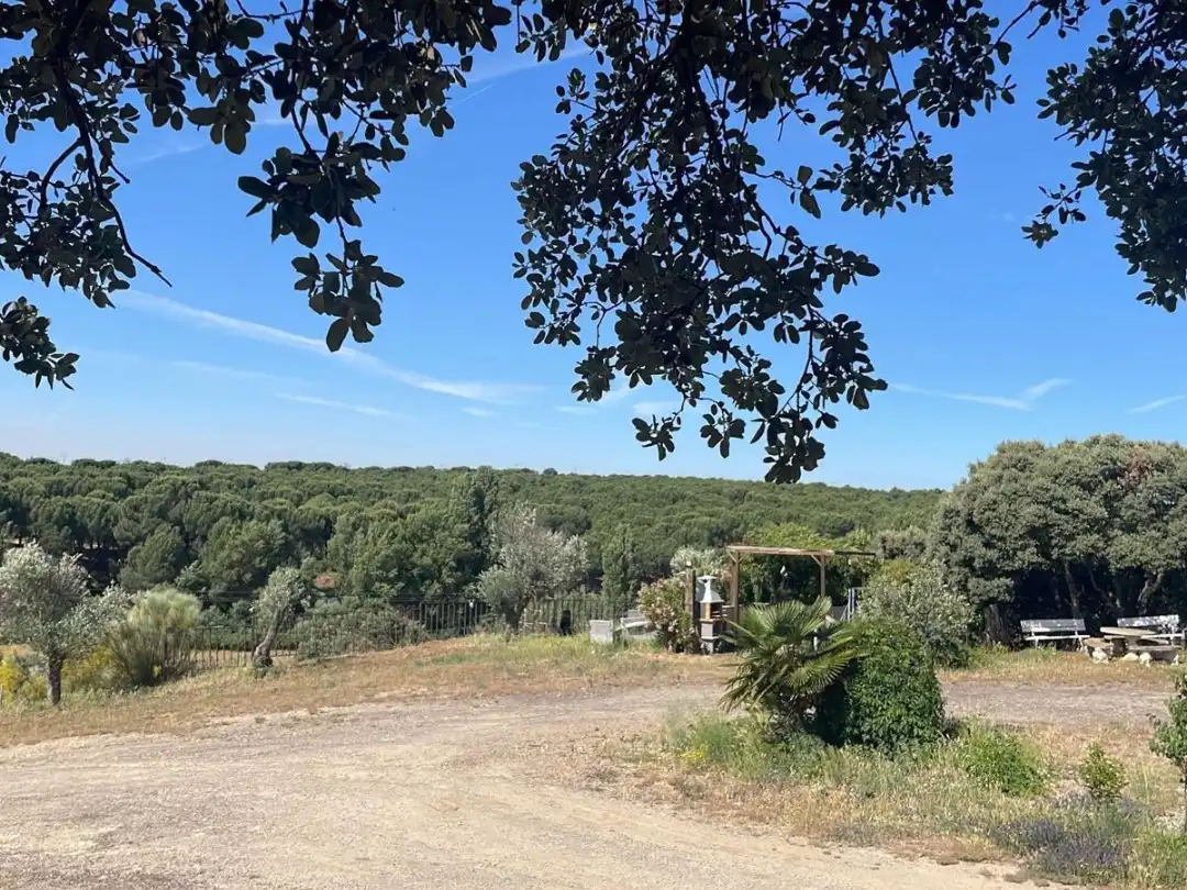 Terreno rustico in vendita a Camino de las Salinas 5, imagen 29