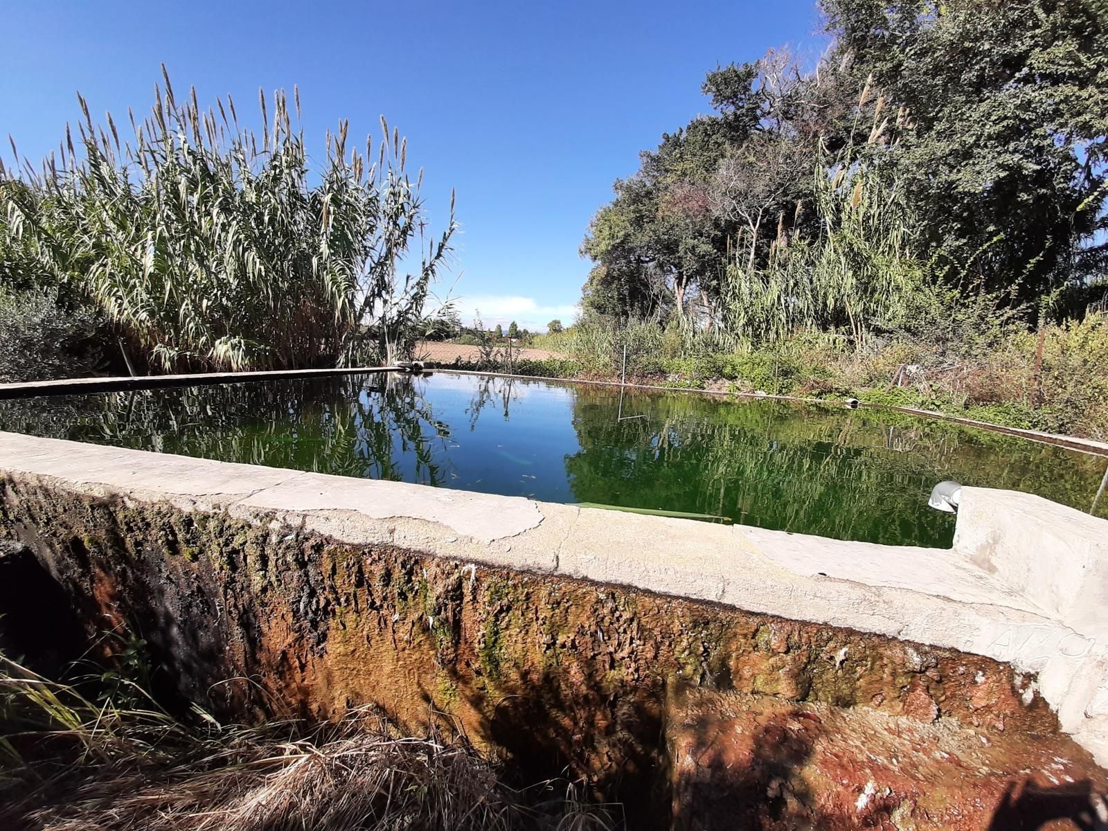 Swimming pool of Country house for sale in Reus