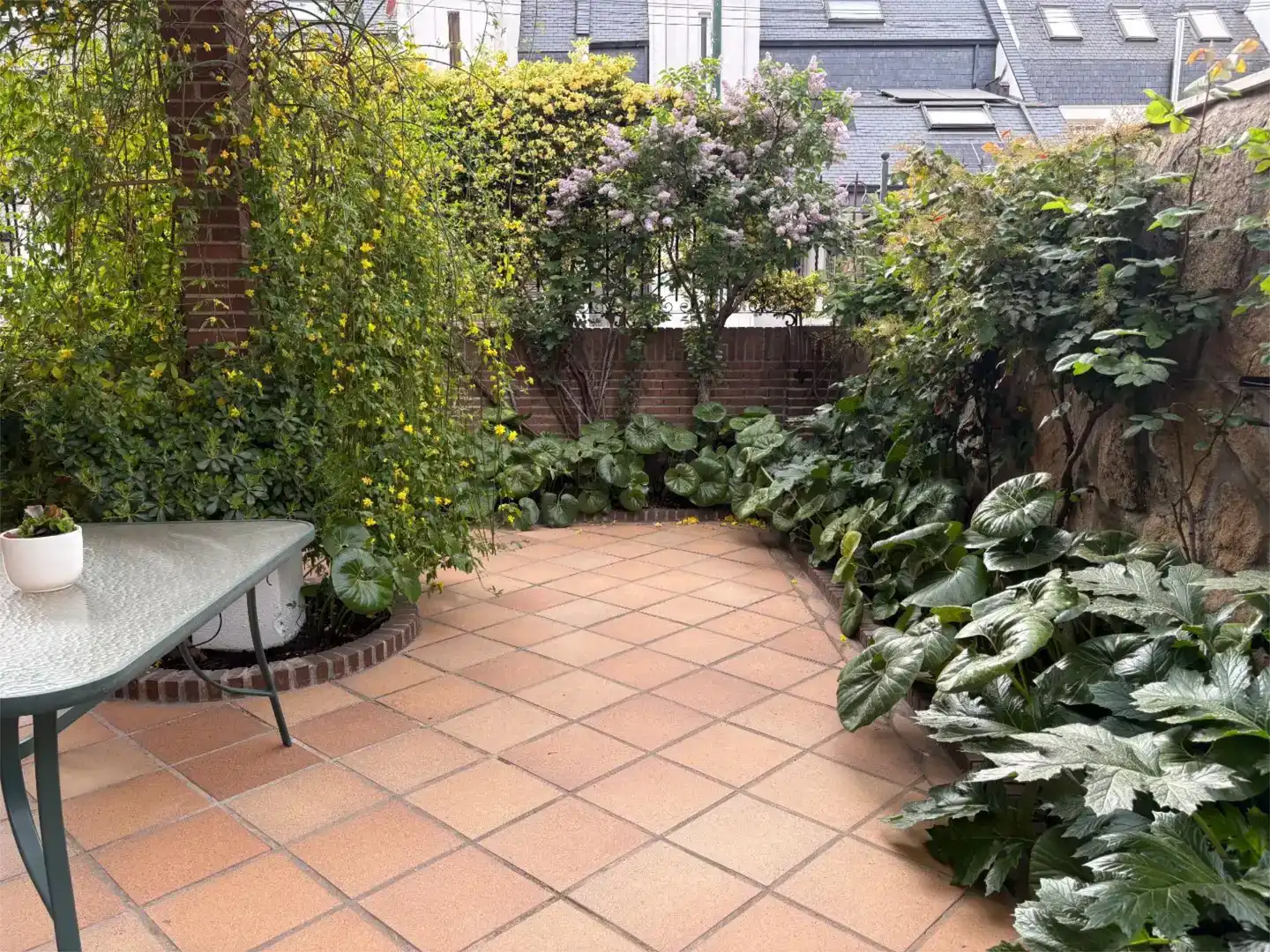 Terrace of Flat for sale in Avenida Europa