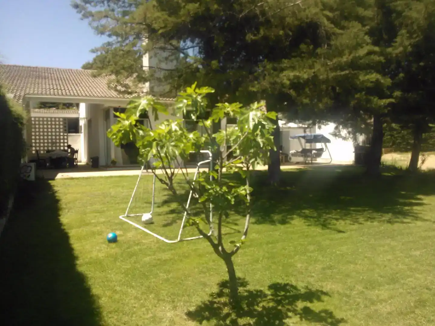 Jardí de Casa o xalet en venda en Valdecaballeros amb Aire condicionat i Piscina