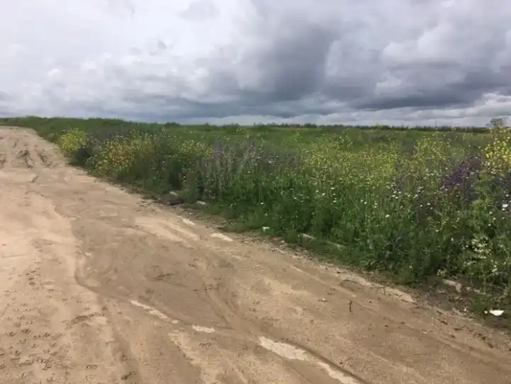 Land for sale in Torrejón de la Calzada