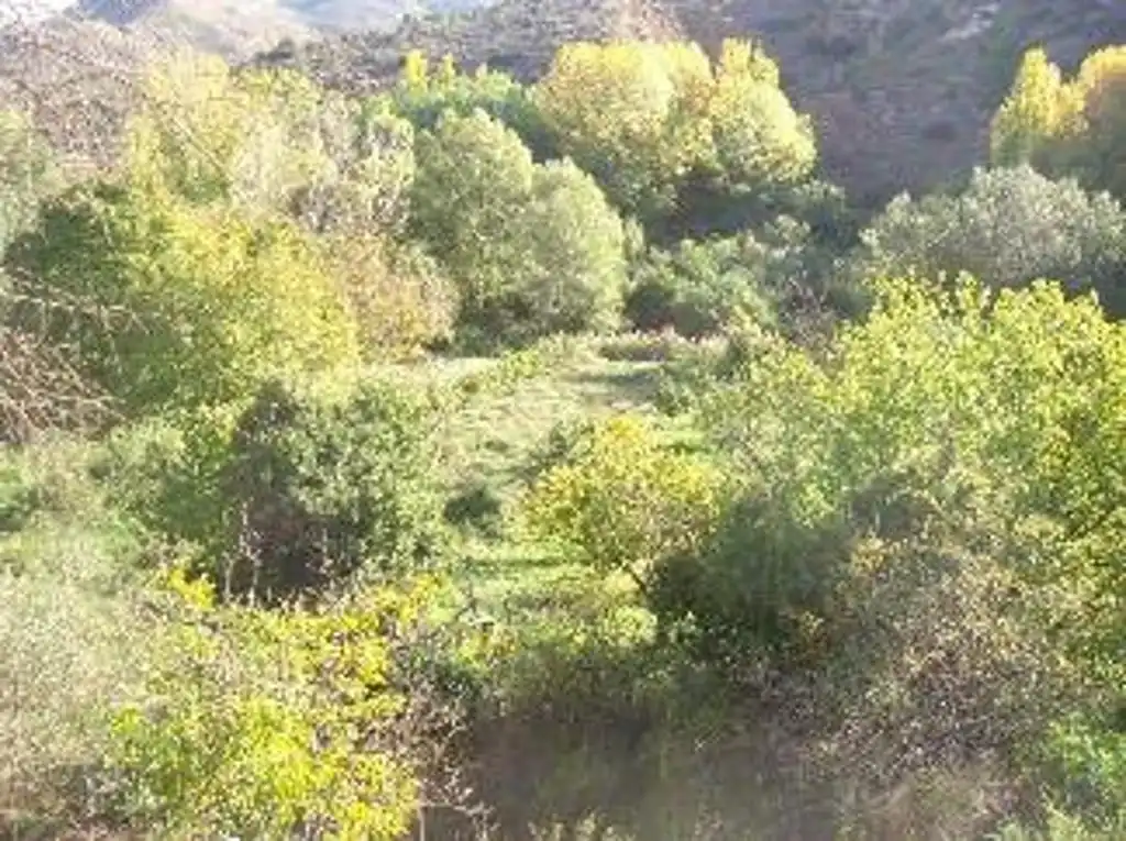 Terreny rústic en venda a Casas Bajas, imagen 3