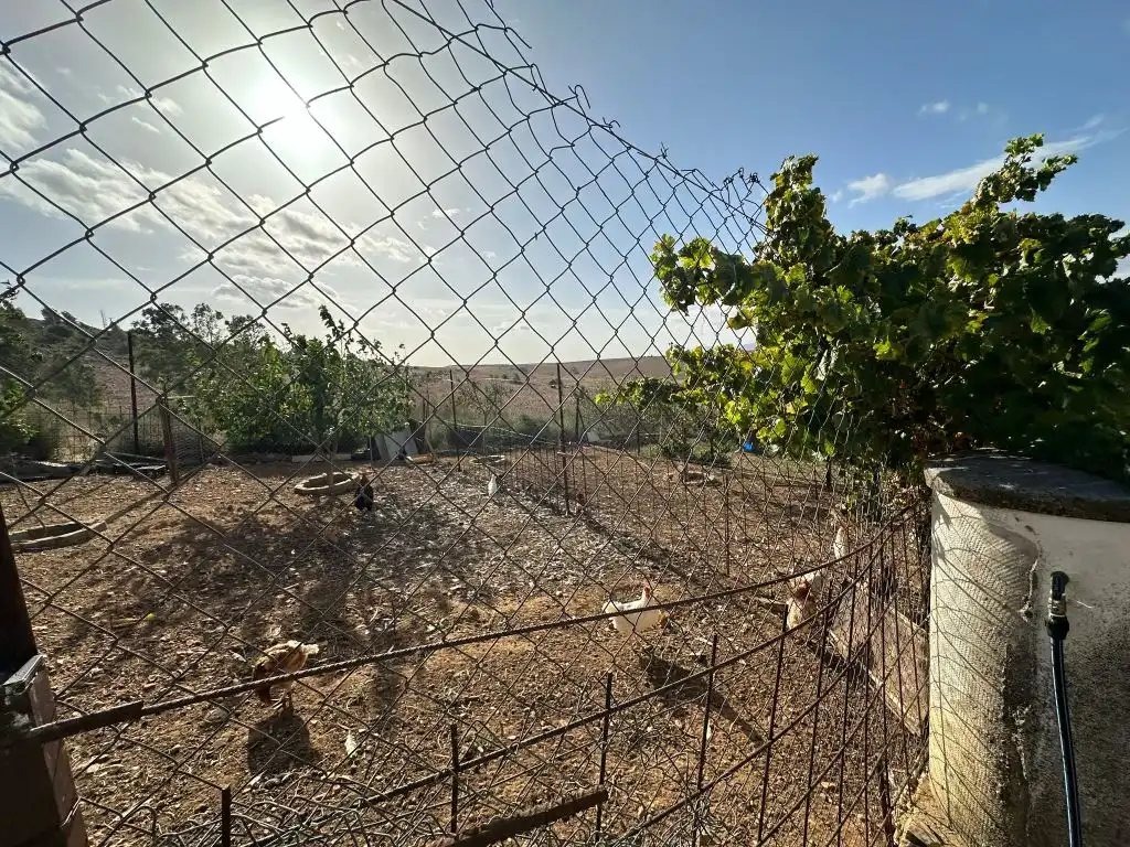 Casa o xalet en venda en Magacela amb Jardí privat, Terrassa i Piscina
