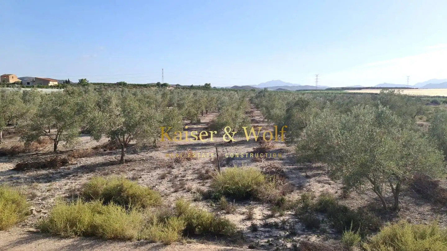 Terrenos y solares en venta en Monforte del Cid, imagen 3