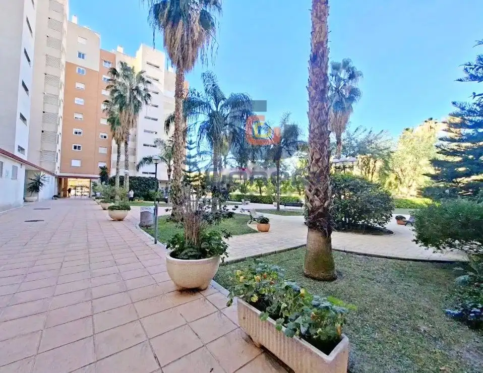 Appartamento con piscina in vendita a Playa de San Juan - El Cabo de las Huertas, imagen 37