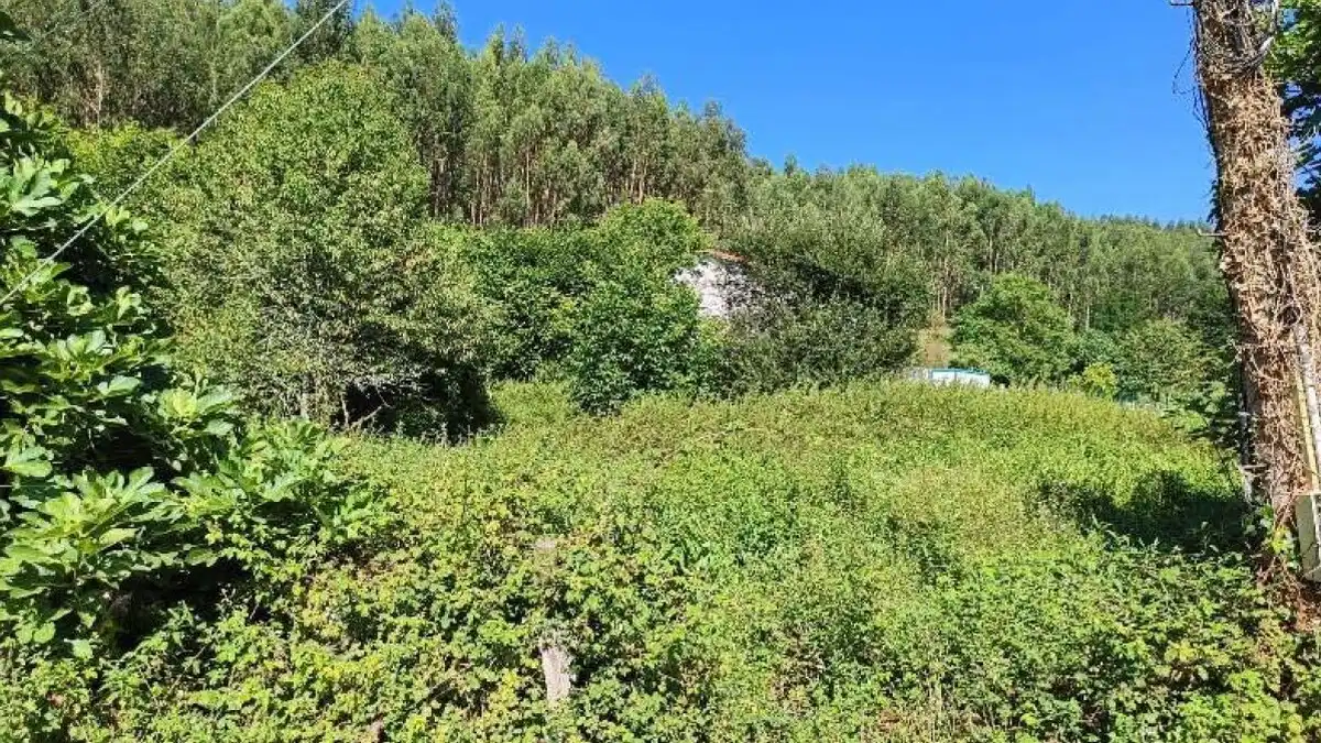 Residential for sale in Zalla 