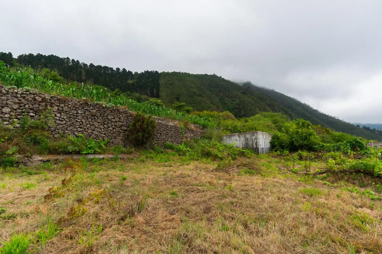 Terreno rustico in vendita a Las Cuevas - Los Gómez, imagen 12