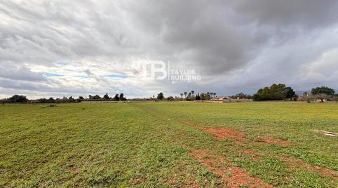 Photo 2 of Residential for sale in Cami de Can Caponet, Zona Periurbana, Inca