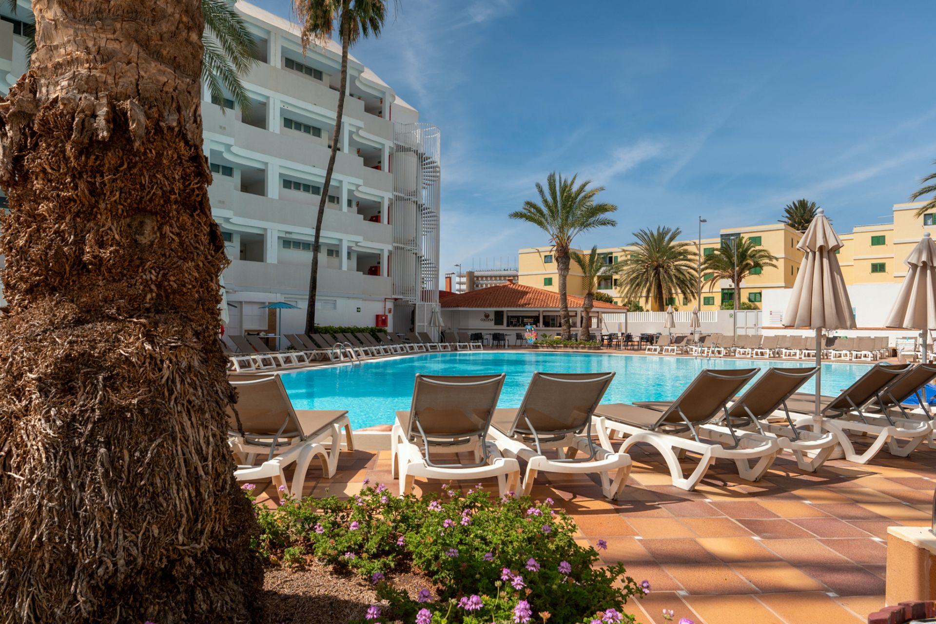 Piscina de Apartament en venda en San Bartolomé de Tirajana amb Aire condicionat, Terrassa i Moblat