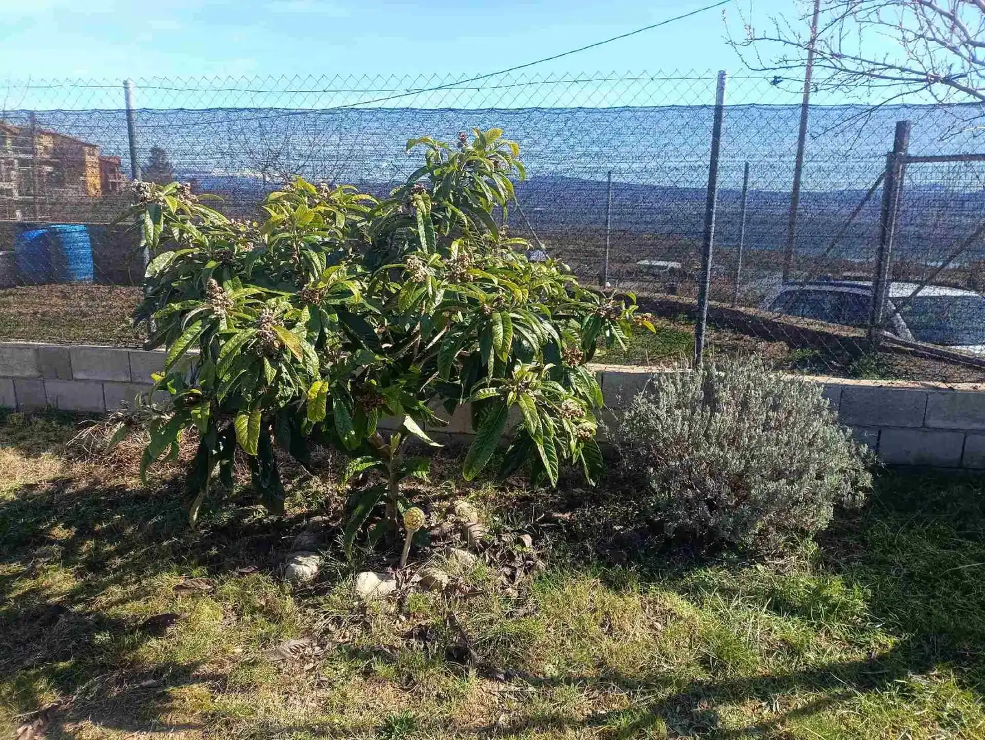 Houses for sale in La Puebla de Castro