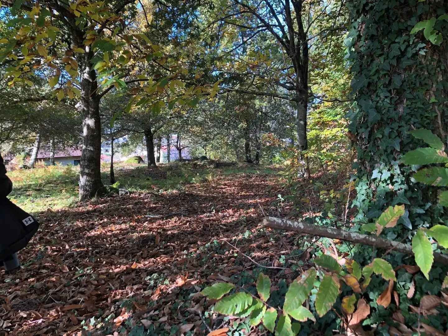 Casa o chalet en venta en Caldas de Reis