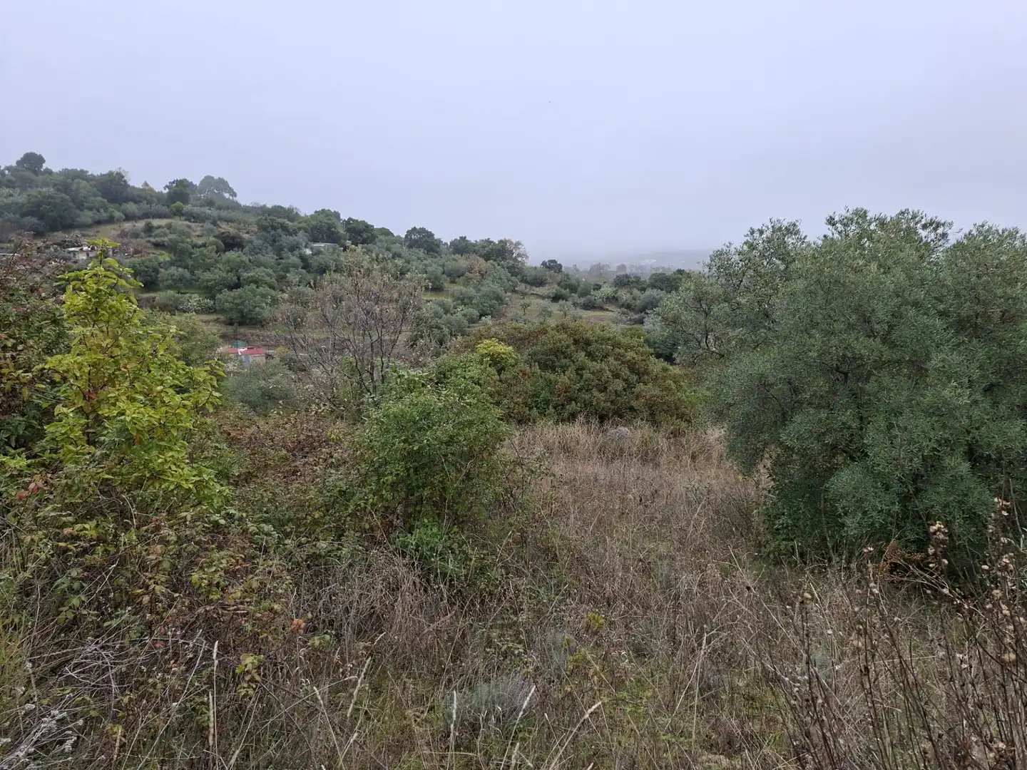 Terreni e lotti in vendita a Malpartida de Plasencia, imagen 4