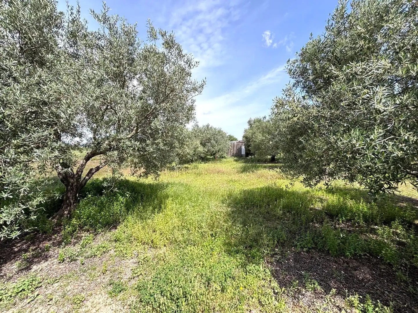 Terreni e lotti in vendita a Arcos de la Frontera, imagen 24