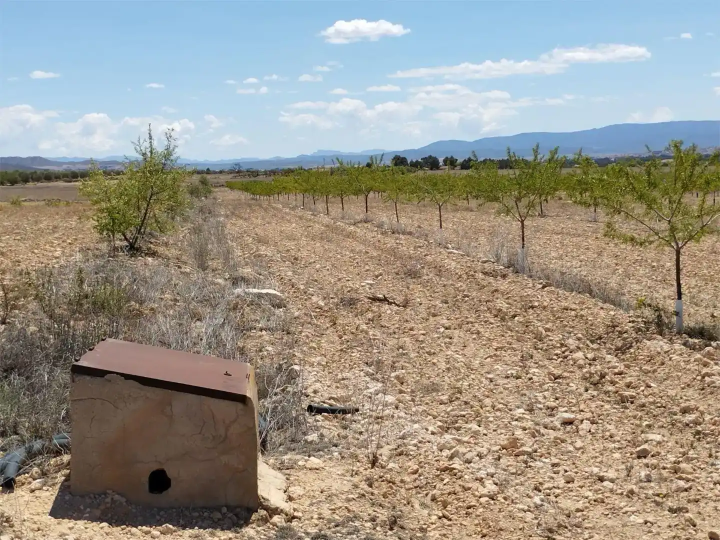 Terreno en venta en Montealegre del Castillo, Albacete