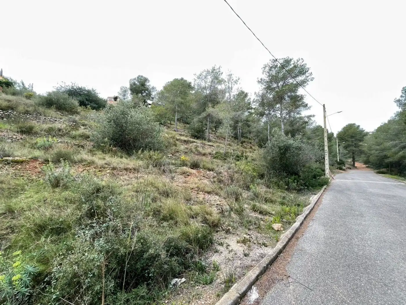 Rural land for sale in Segovia-Priorat, imagen 3
