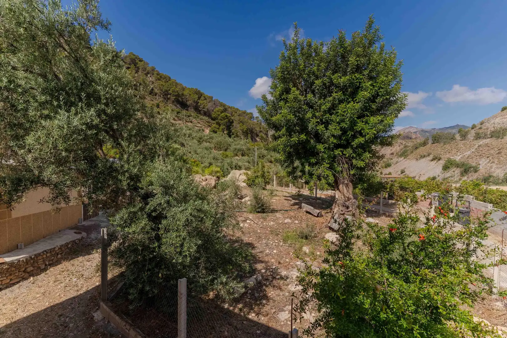 Casa o xalet en venda en El Pinar amb Balcó