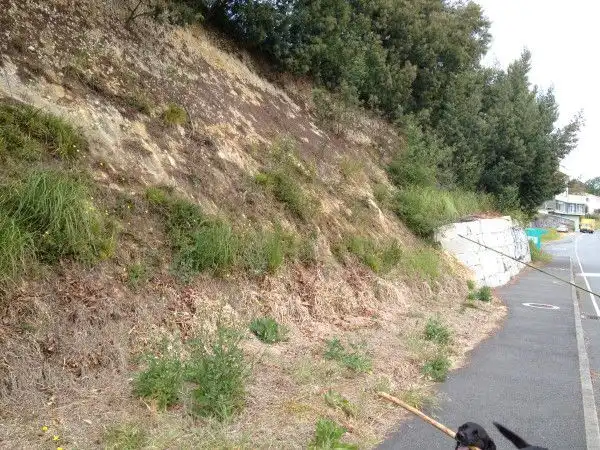 Terreni e lotti in vendita a Nós, imagen 19