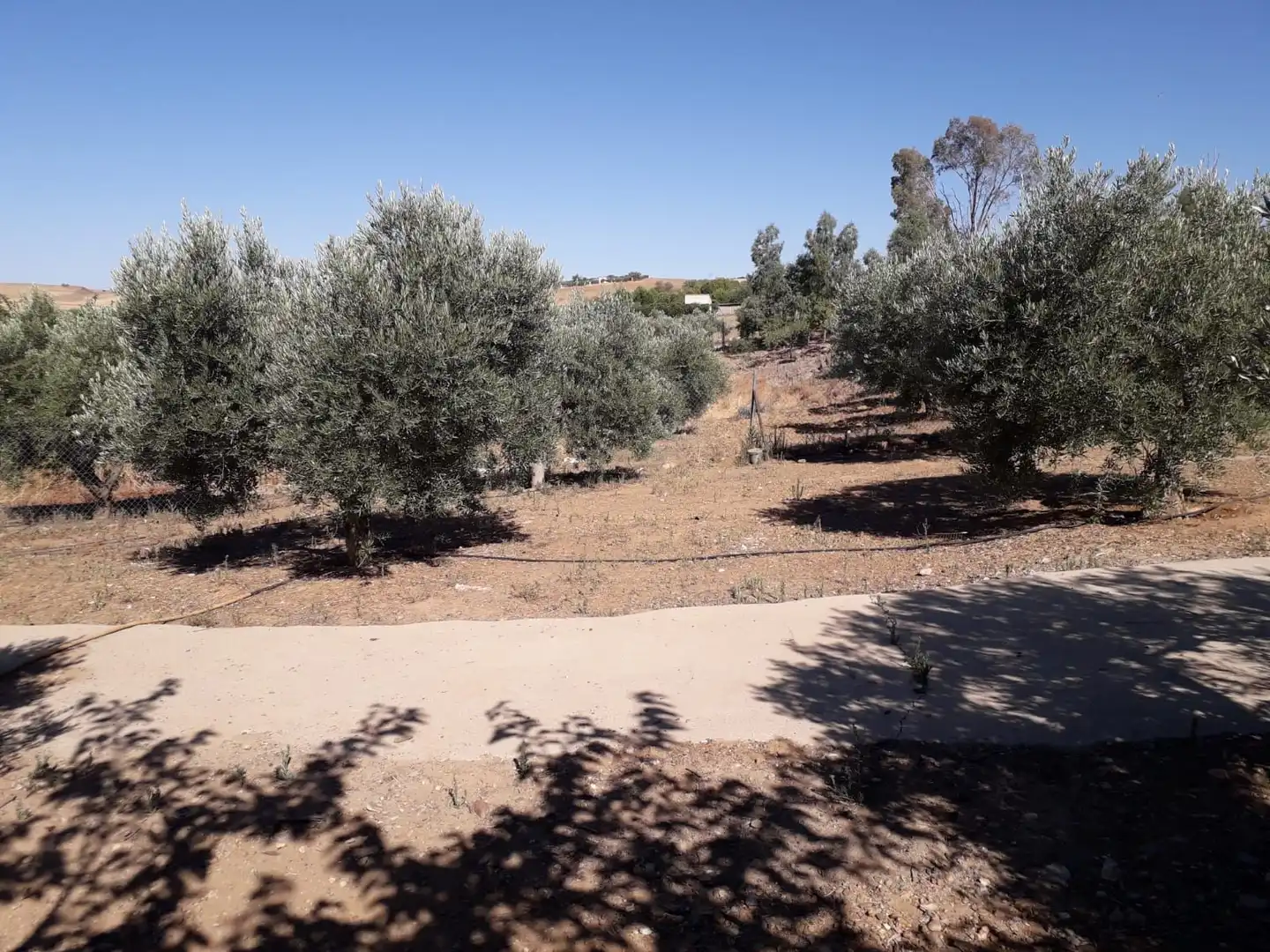 Chalet con jardín en venta en La Coronada, imagen 15