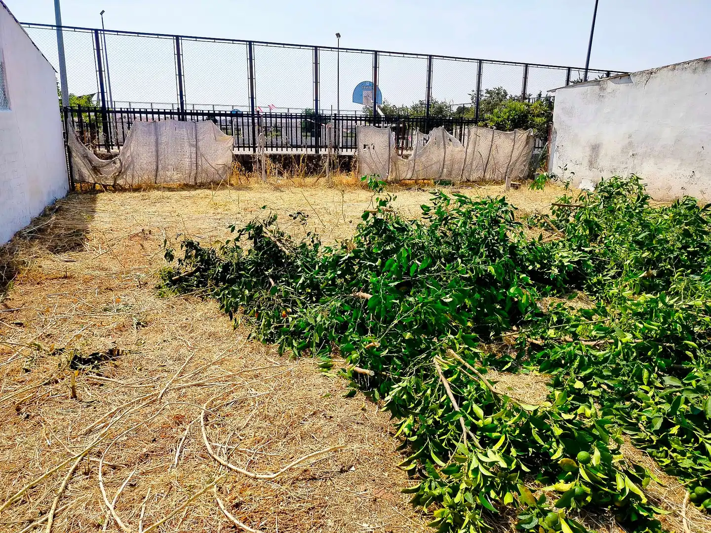 Terreny residencial en venda a Vía Veredón de los Frailes, imagen 7