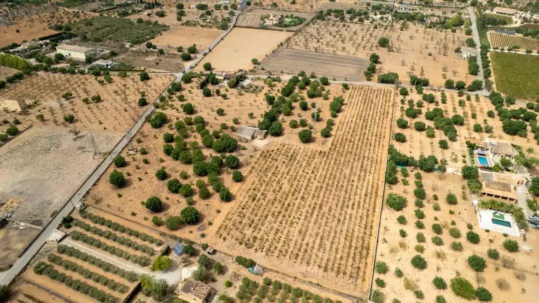 Land for sale in Consell