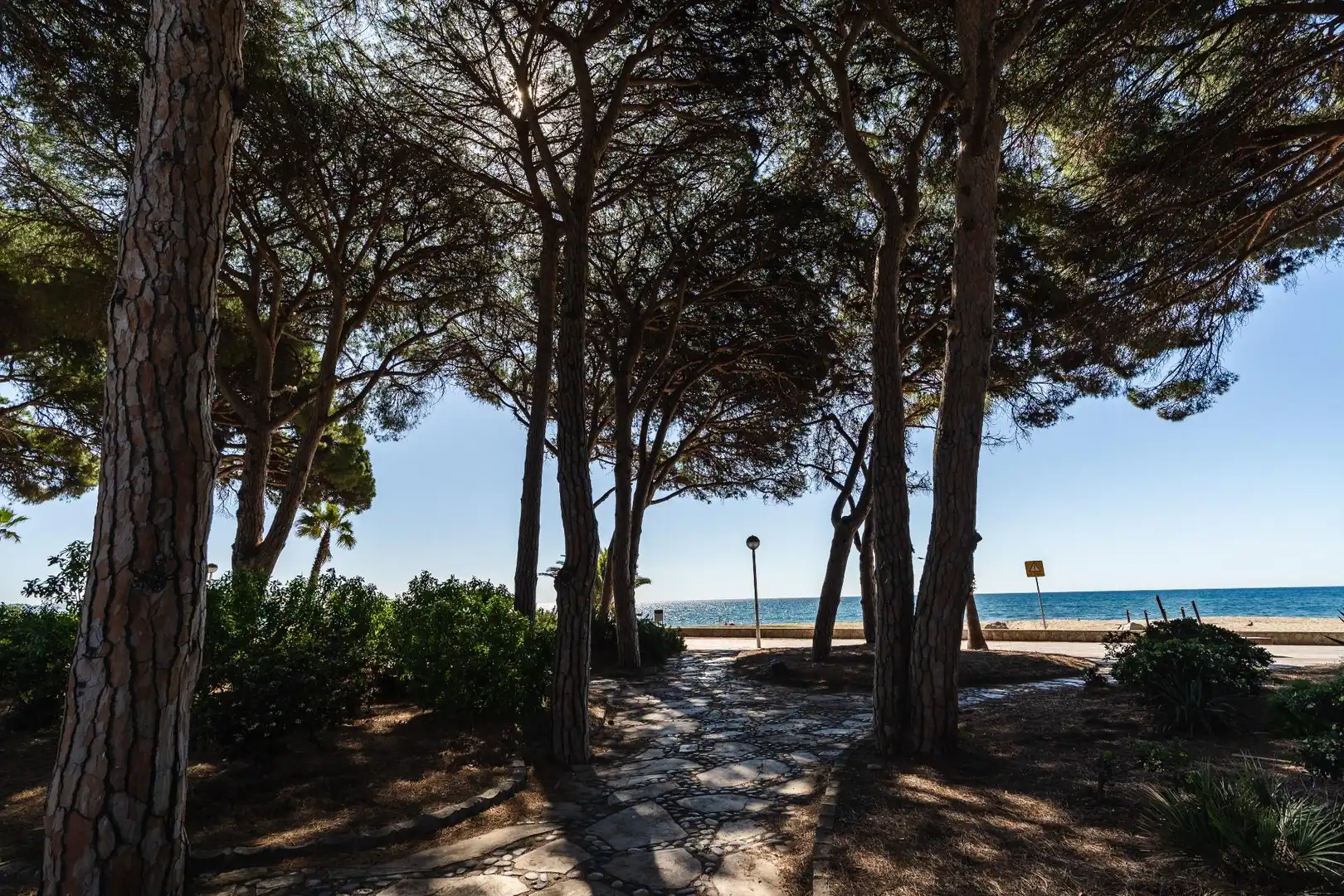 Vista exterior de Casa o xalet en venda en Cambrils amb Aire condicionat, Calefacció i Jardí privat