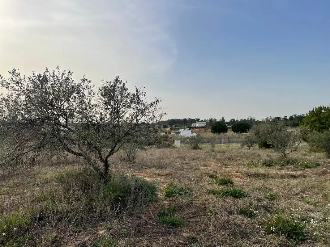 Finca rústica en venta en La Palma del Condado