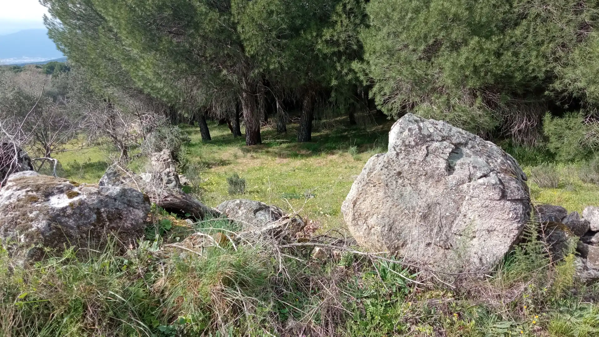 Terreni e lotti in vendita a Sotillo de la Adrada, imagen 2