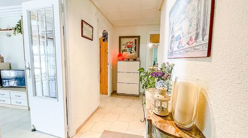 Piso Completamente Reformado en Elda