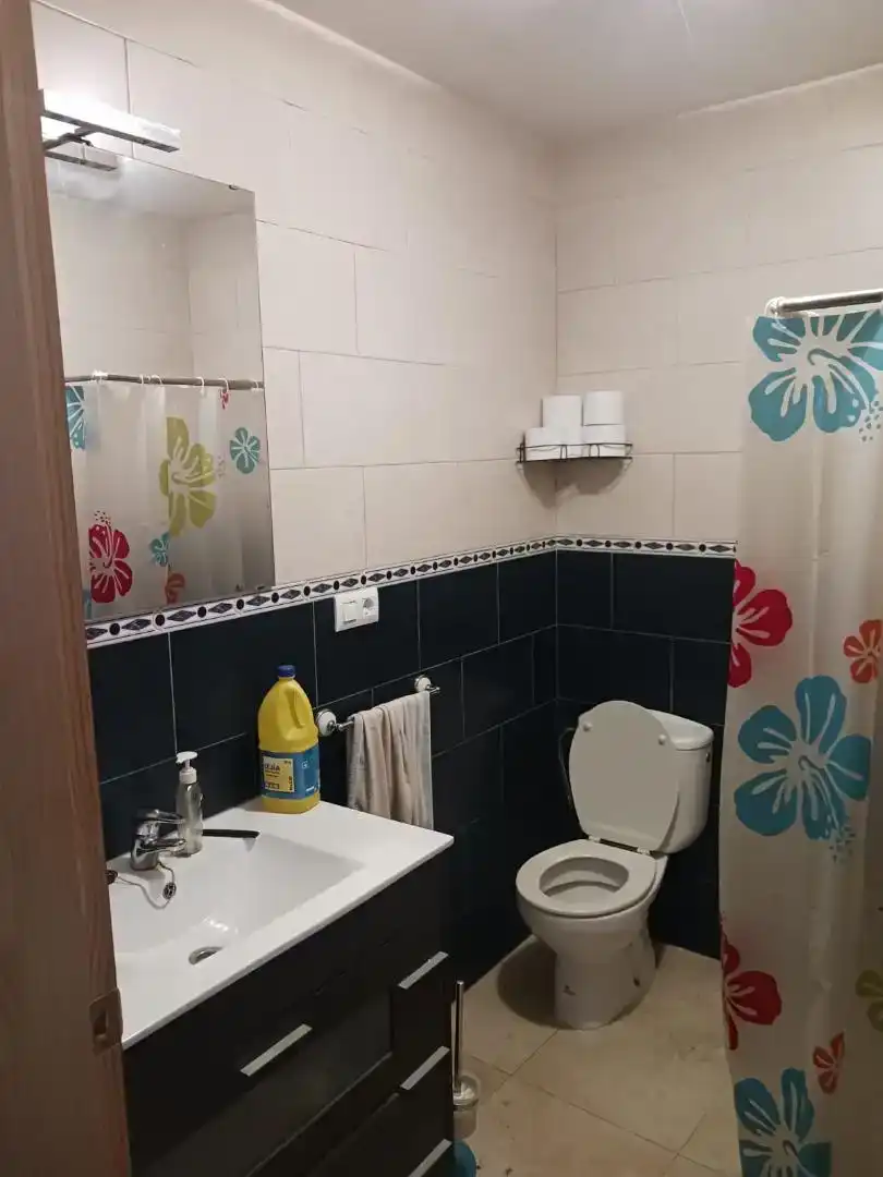 Baño de Dúplex en venta en Fortuna con Aire acondicionado, Jardín privado y Amueblado
