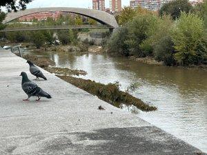 Exterior view of Flat to rent in  Madrid Capital  with Heating, Furnished and Oven