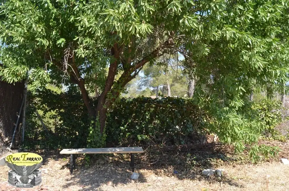 Xalet en venda a Cabra del Camp, imagen 6