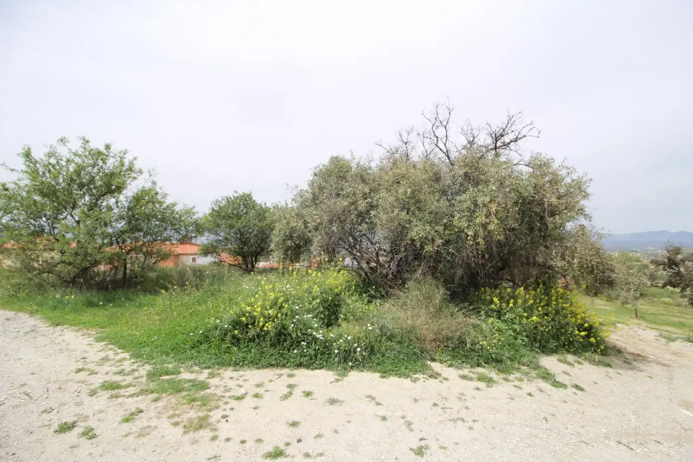 Country house zum Verkauf in Jun