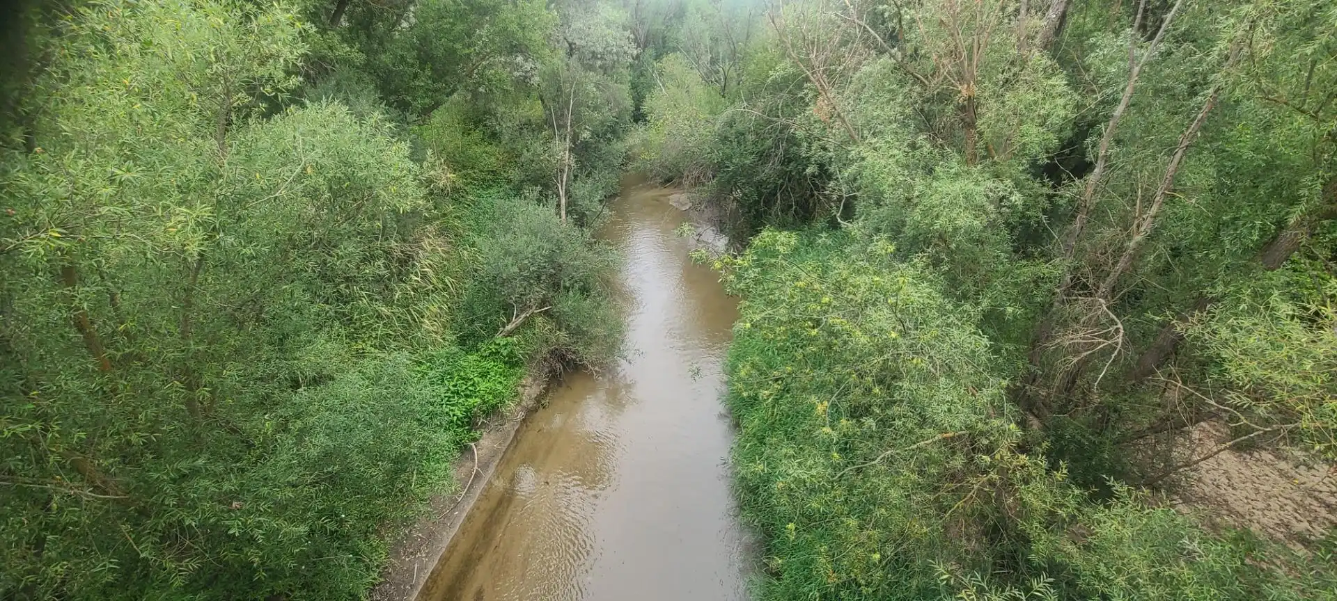 Vista exterior de Casa o xalet en venda en Villaviciosa de Odón