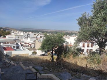 Terreny residencial en venda a EXTRAMUROS