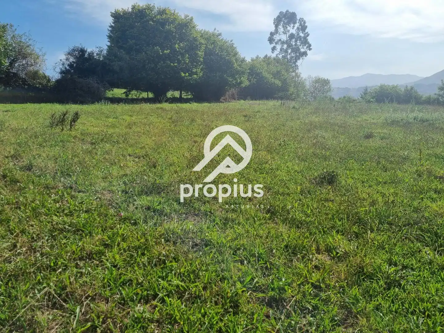Rural land for sale in Arenas, imagen 16