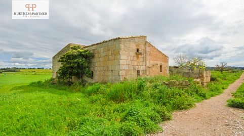 Foto 3 de Finca rústica en venda a Manacor Centre, Manacor