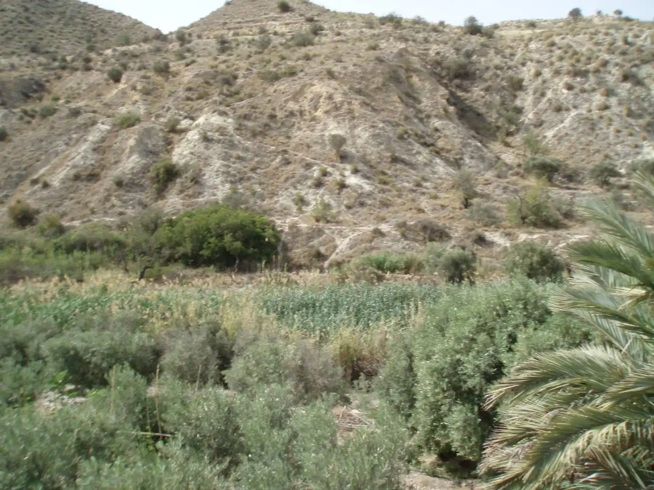 Terreni e lotti in vendita a MONEGRE, imagen 4