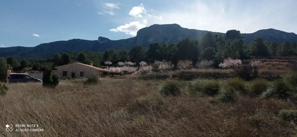 Terreny residencial en venda a La Romana, imagen 8
