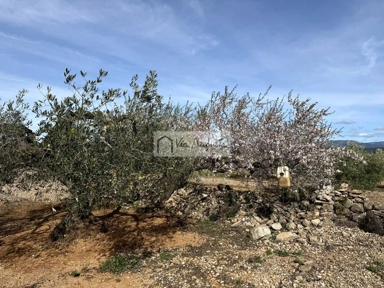 Terreno rustico in vendita a Burgà, imagen 11