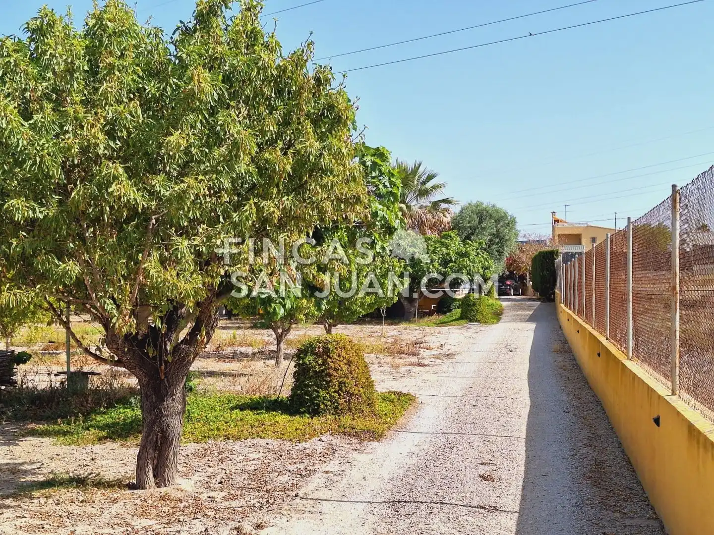Vista exterior de Casa o xalet en venda en Alicante / Alacant amb Terrassa i Piscina