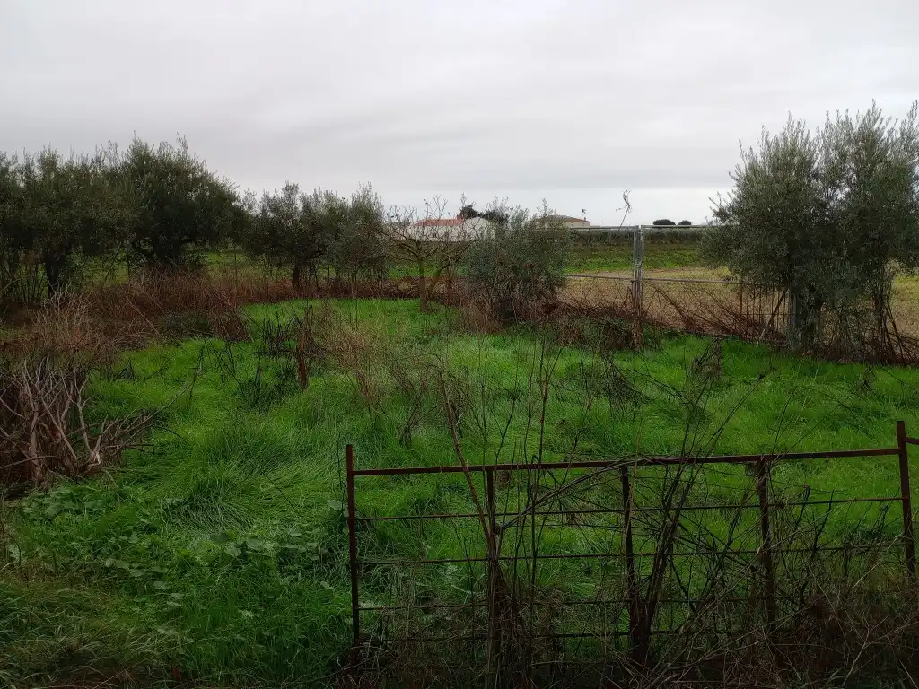 Xalet amb piscina en venda a Don Benito, imagen 3